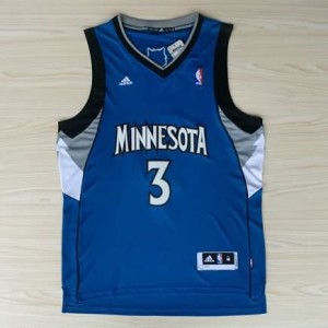 Canotte Rivoluzione 30 Roy,Minnesota Timberwolves Blu